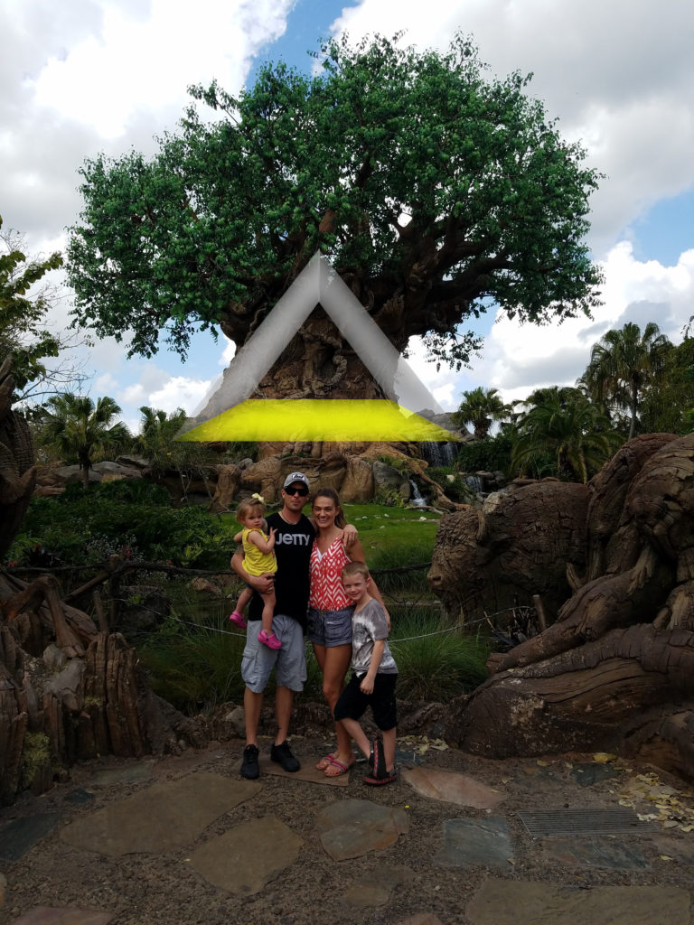 WELL-DEFINED Disney World! – Our Animal Kingdom Visit!