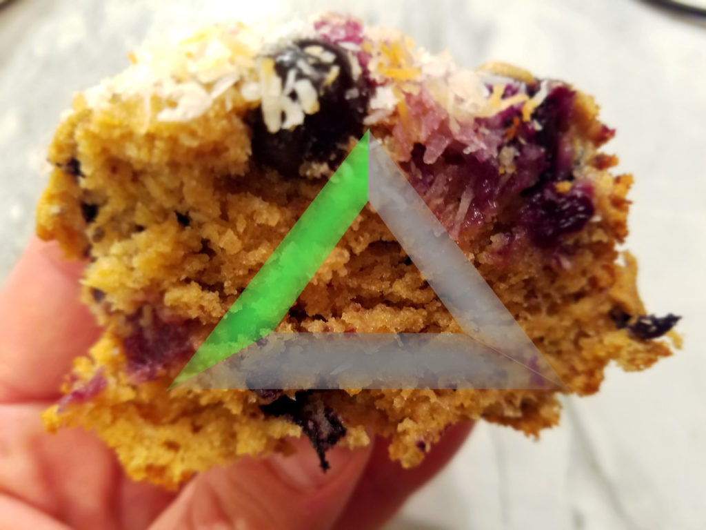 WELL-FED Superfood Energy Muffins – Blueberry Coconut