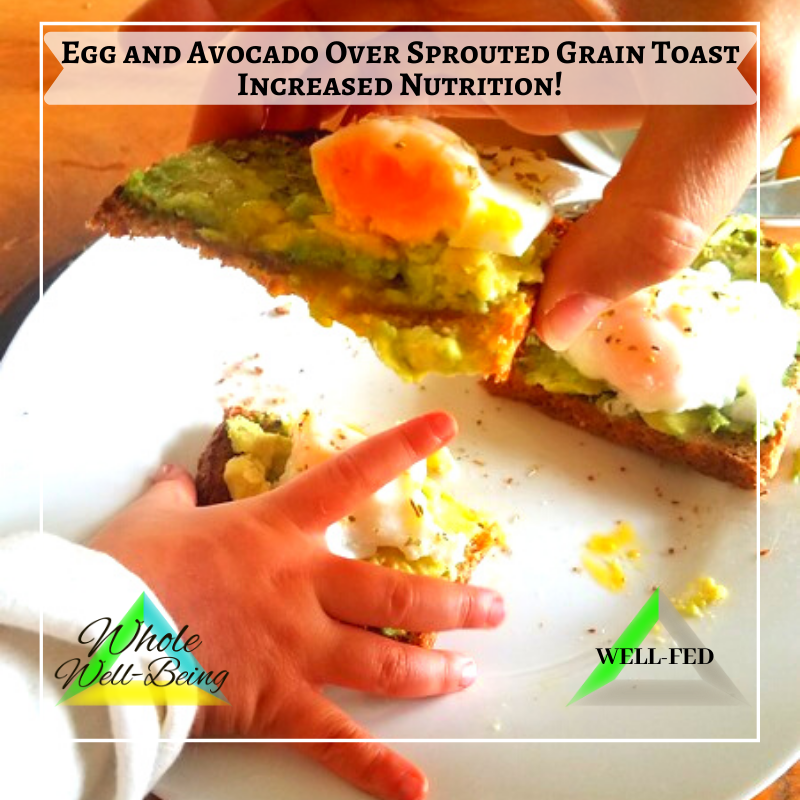 WELL-FED Egg and Avocado over Sprouted Grain (or Gluten-Free) Toast – Increased Nutrition