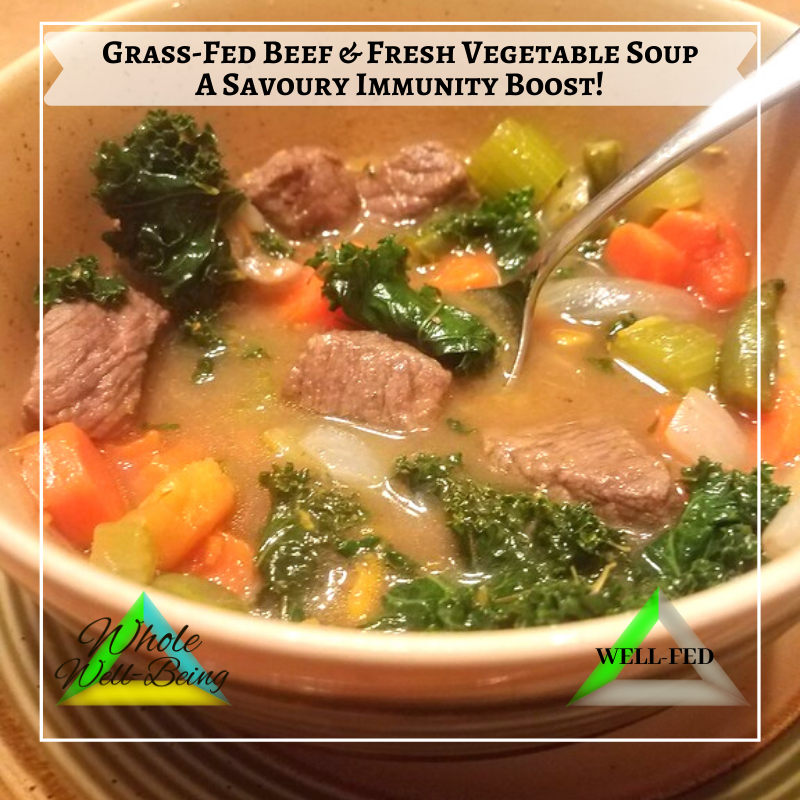 WELL-FED Grass-Fed Beef and Fresh Vegetable Soup – Savoury Immunity Boost!