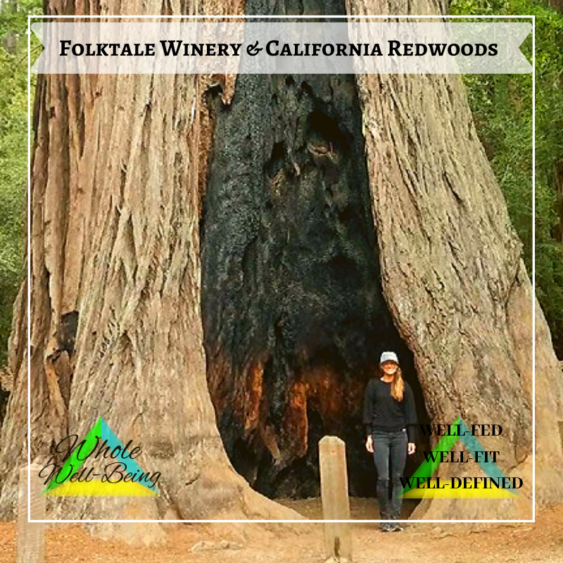MY WHOLE WELL-BEING – Folktale Winery and California Redwoods