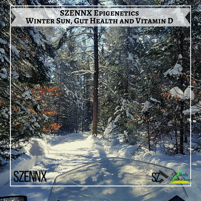 SZENNX Epigenetics. A SAD Winter Gut and Getting Enough Vitamin D
